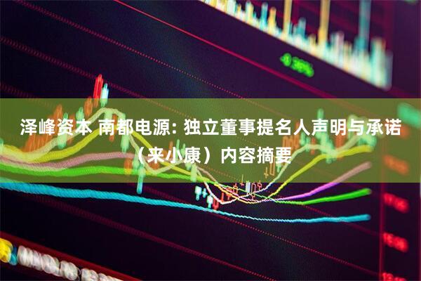 泽峰资本 南都电源: 独立董事提名人声明与承诺（来小康）内容摘要