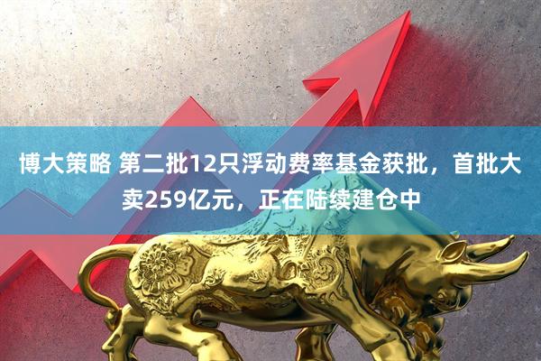 博大策略 第二批12只浮动费率基金获批，首批大卖259亿元，正在陆续建仓中