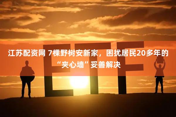 江苏配资网 7棵野树安新家，困扰居民20多年的“夹心墙”妥善解决