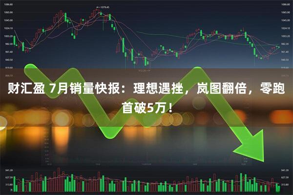 财汇盈 7月销量快报：理想遇挫，岚图翻倍，零跑首破5万！