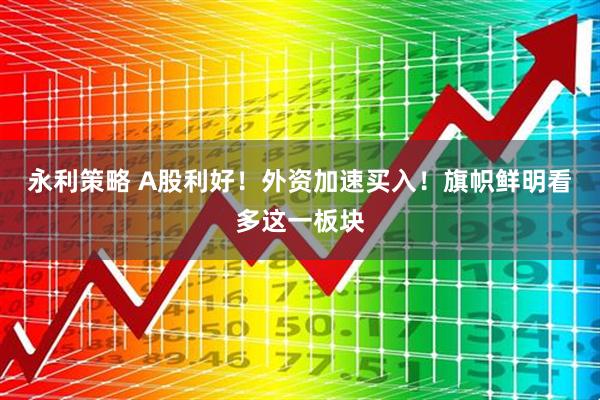 永利策略 A股利好！外资加速买入！旗帜鲜明看多这一板块