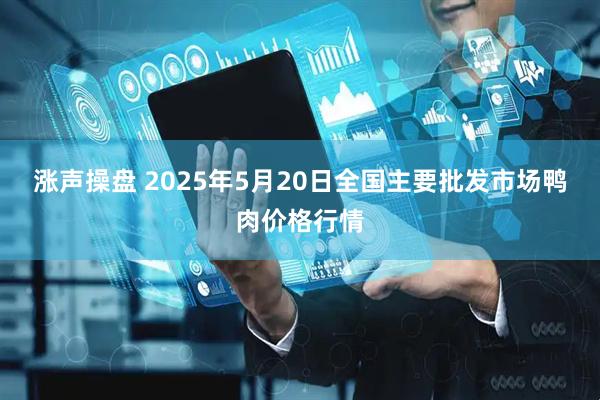 涨声操盘 2025年5月20日全国主要批发市场鸭肉价格行情