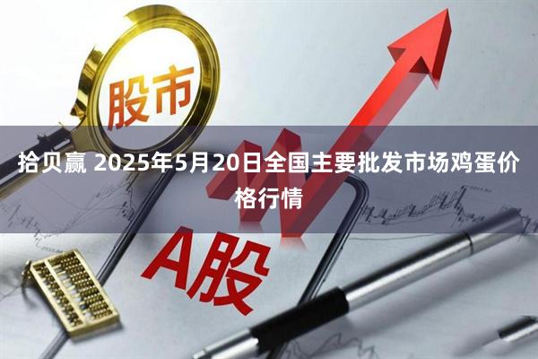 拾贝赢 2025年5月20日全国主要批发市场鸡蛋价格行情